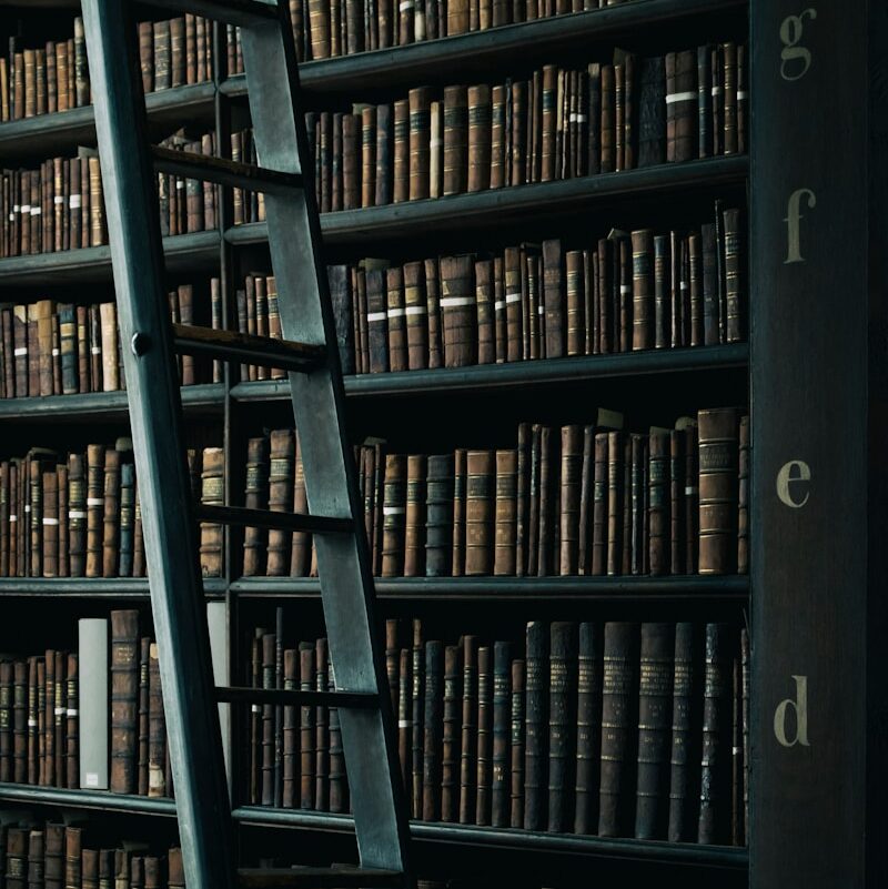 A wooden ladder leaning against tall bookshelves filled with antique books in Dublin